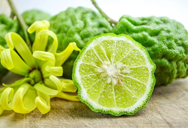 BERGAMOT -FRAGRANCE OIL